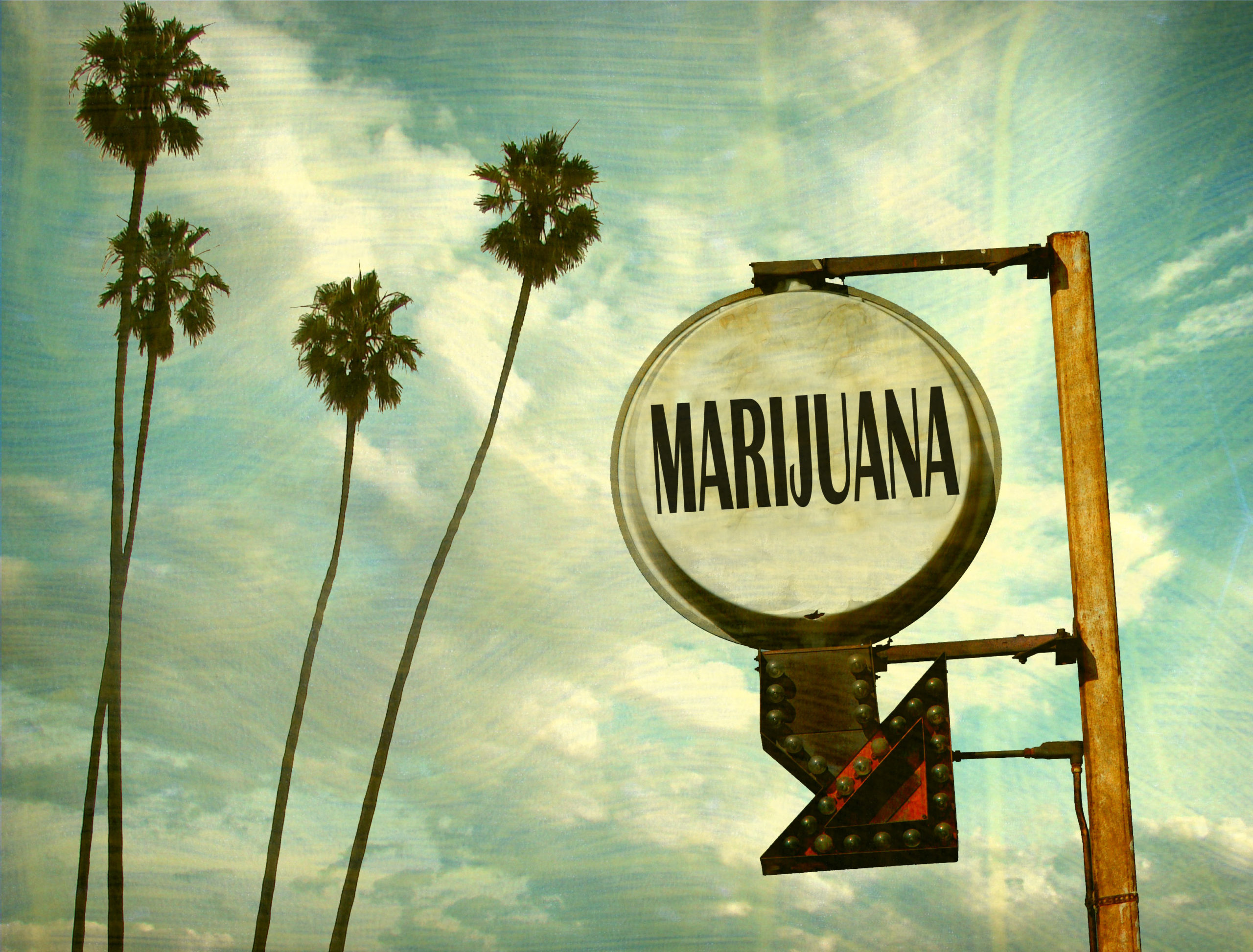 Press: Legalisering av cannabis ökar konsumtionen