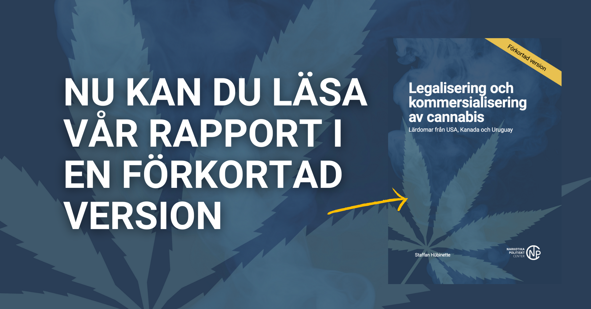 Förkortad version av vår rapport om legalisering